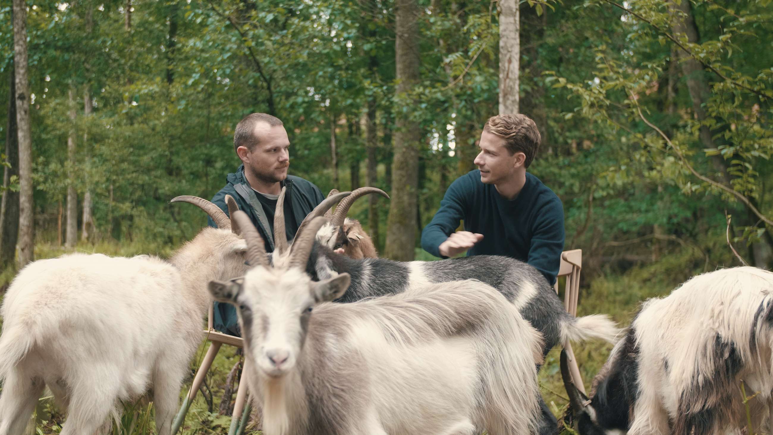 Christoffer Rontén og Theis Roksvåg sitter i skogen sammen med geiter
