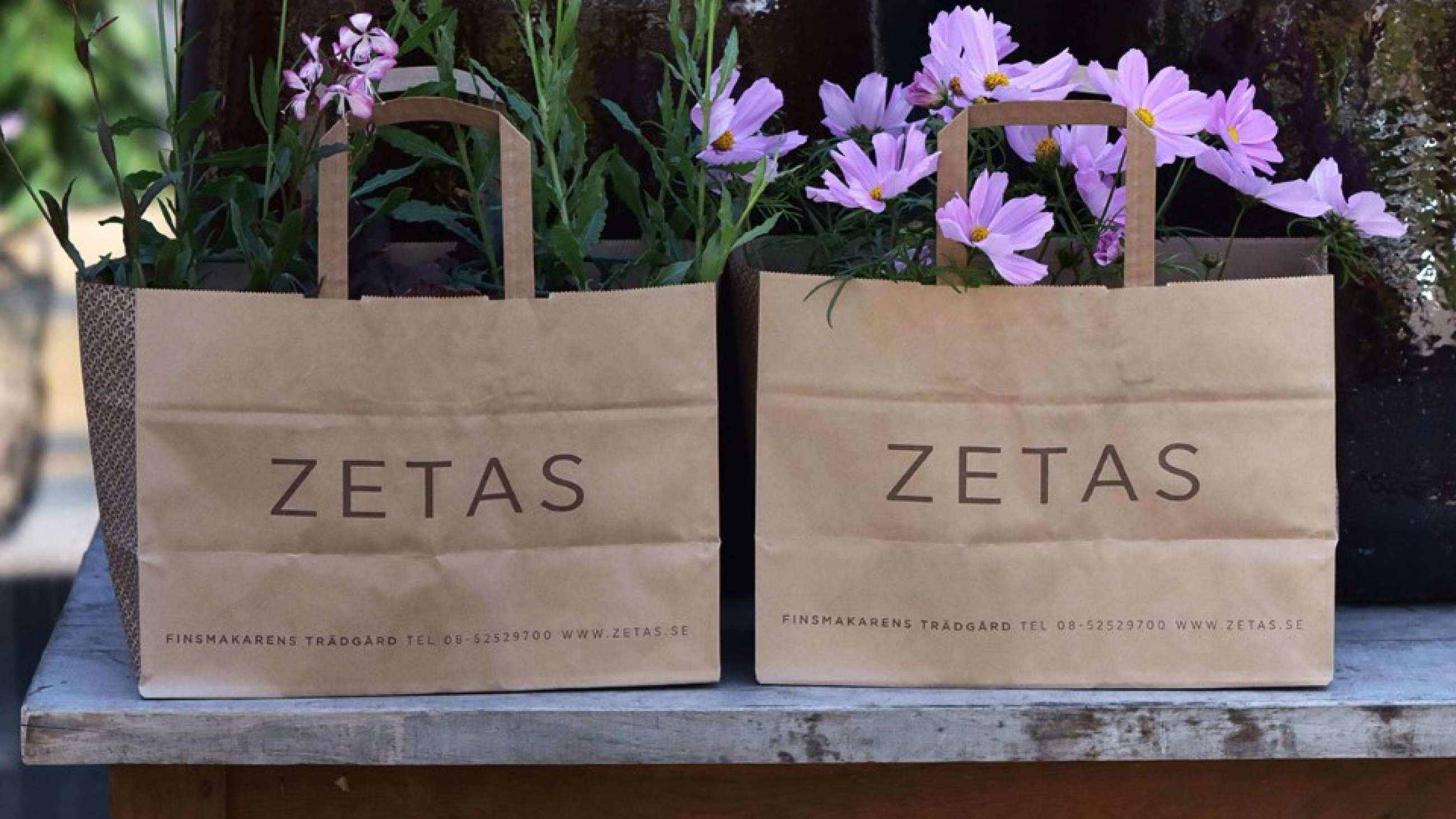 To blomsterkasser fra Zetas med fiolette blomster.