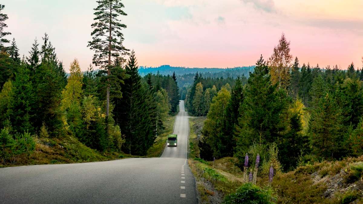 Truck on a road